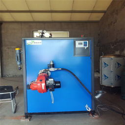 全自動(dòng)立式燃?xì)忮仩t生物質(zhì)蒸汽發(fā)生器 羊肚菌滅菌的高效節(jié)能解決方案